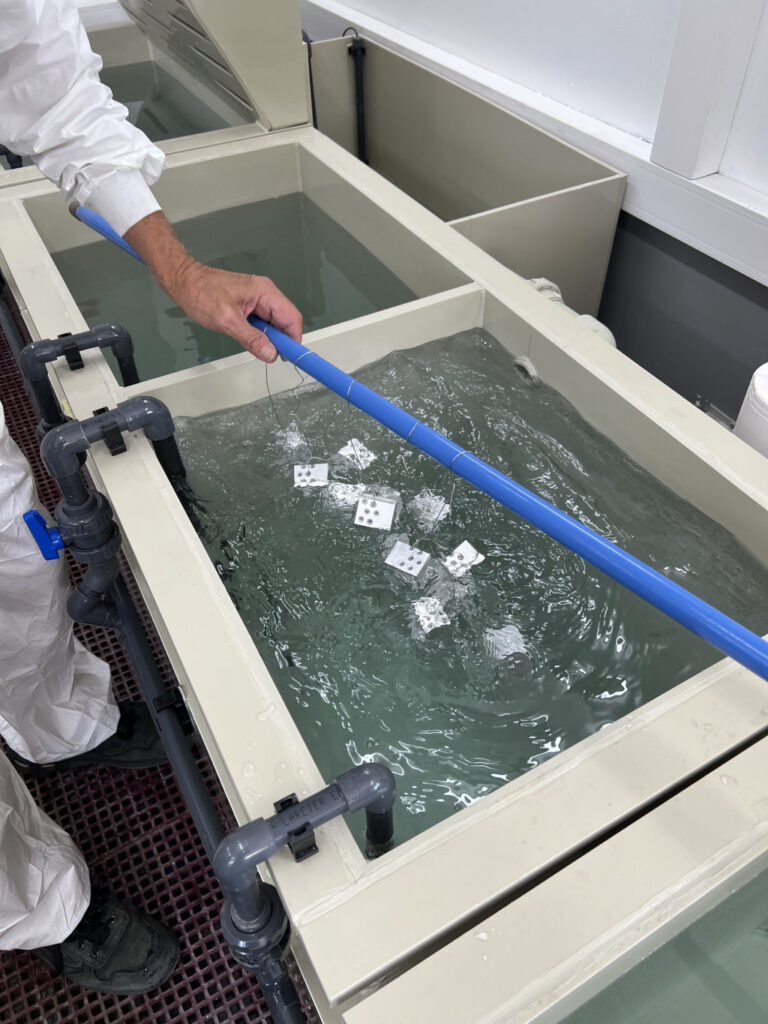 Phase de neutralisation nitrique de pièces en aluminium